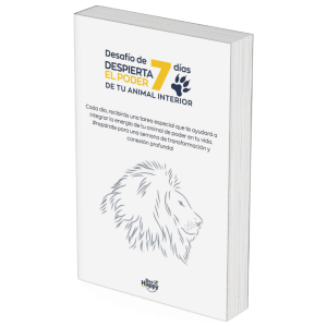 desafio mockup